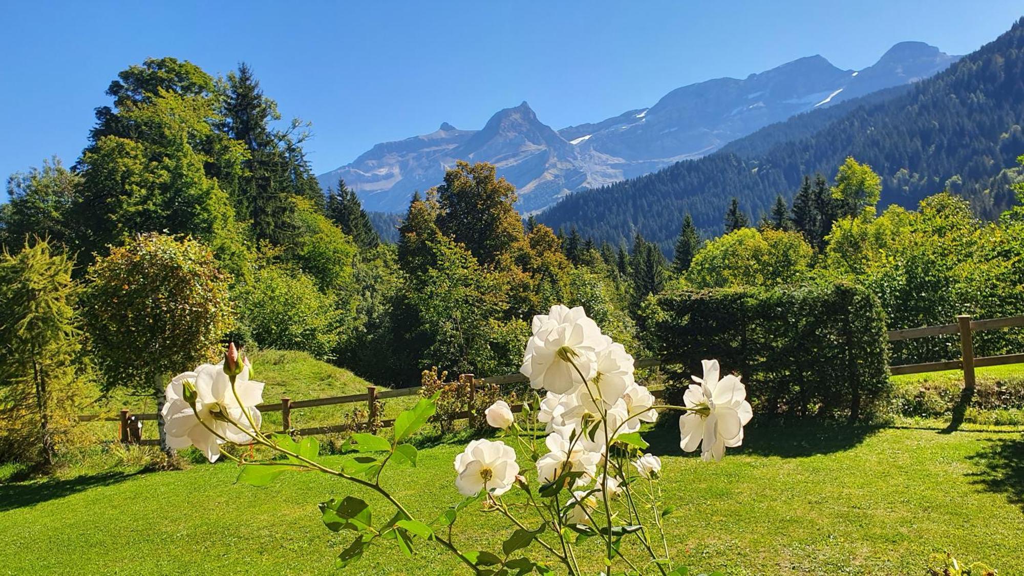 B&B Chalet La Croisee Vers L'Eglise Εξωτερικό φωτογραφία